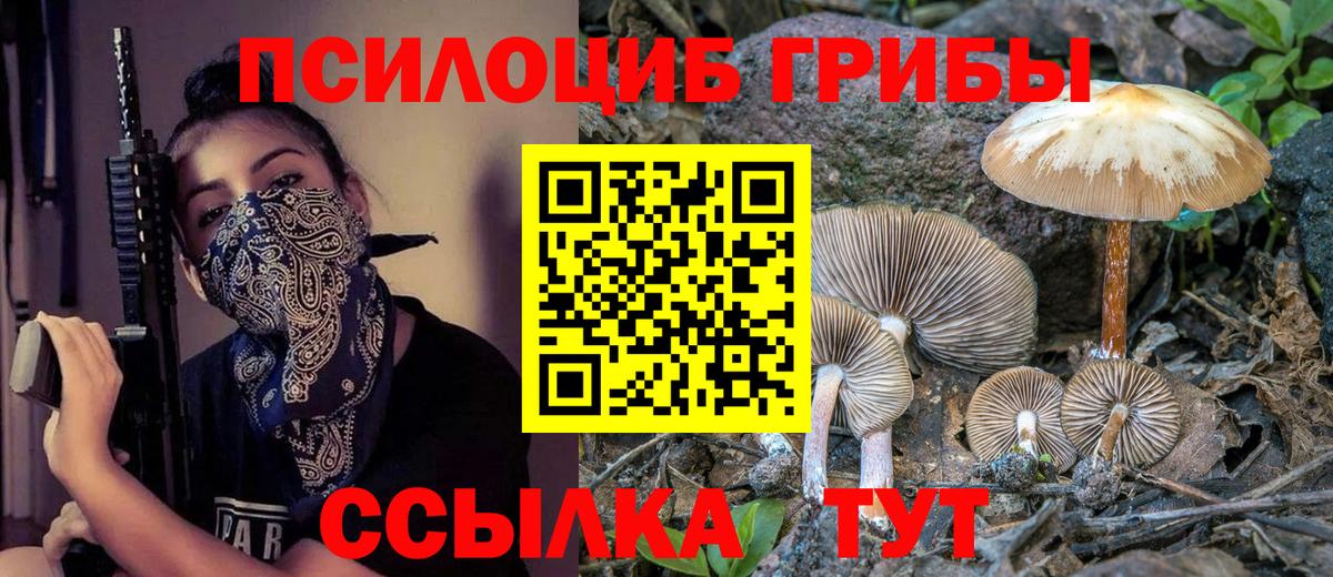 Мыски  Псилоцибиновые грибы Psilocybine cubensis  Вход с VPN 