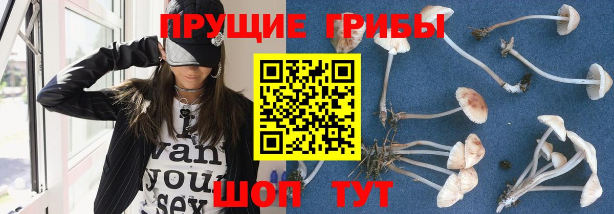 Галлюциногенные грибы мухоморы Мыски
